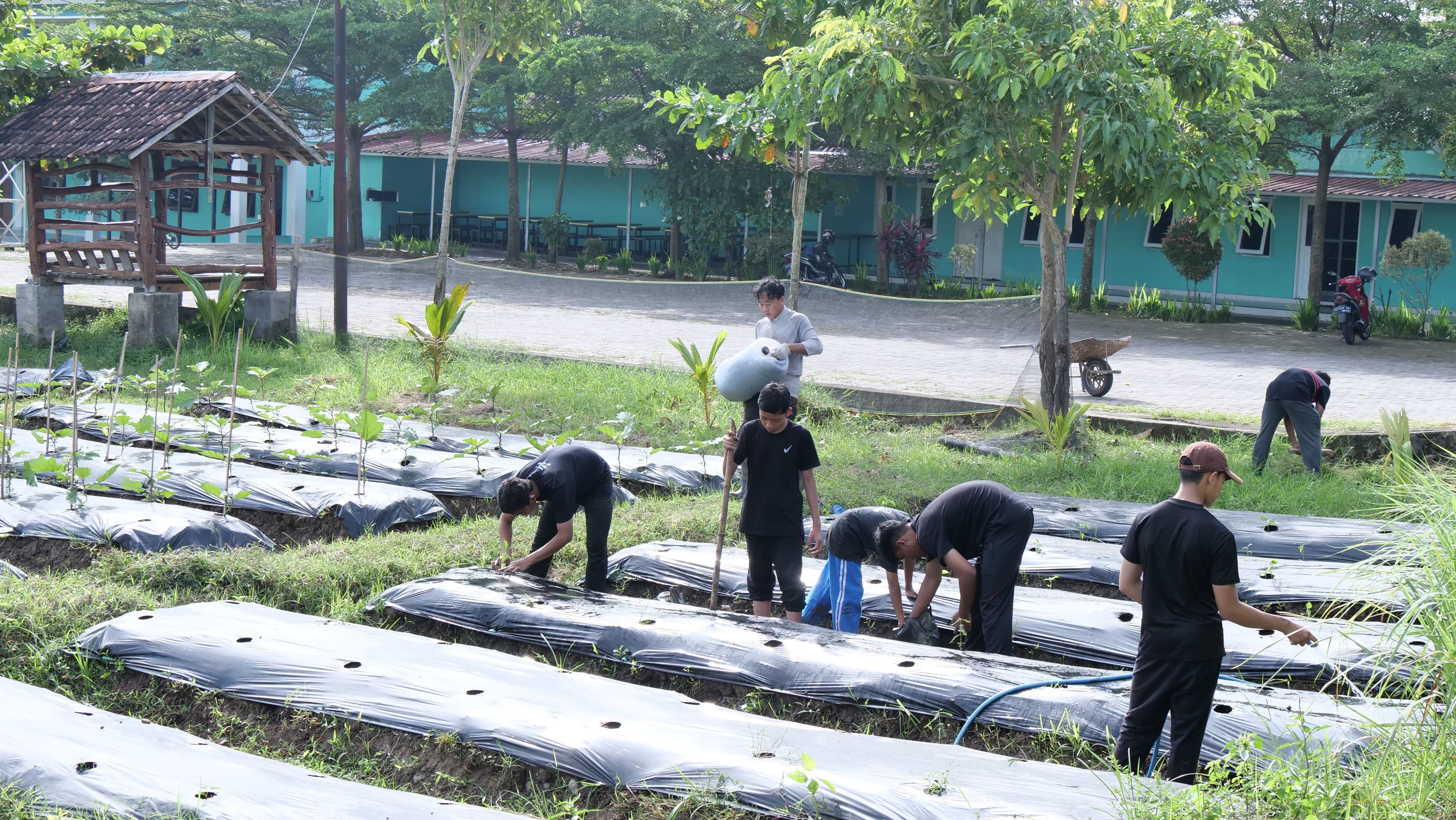 Santri belajar bercocok tanam di Pesantren Gratis Klaten