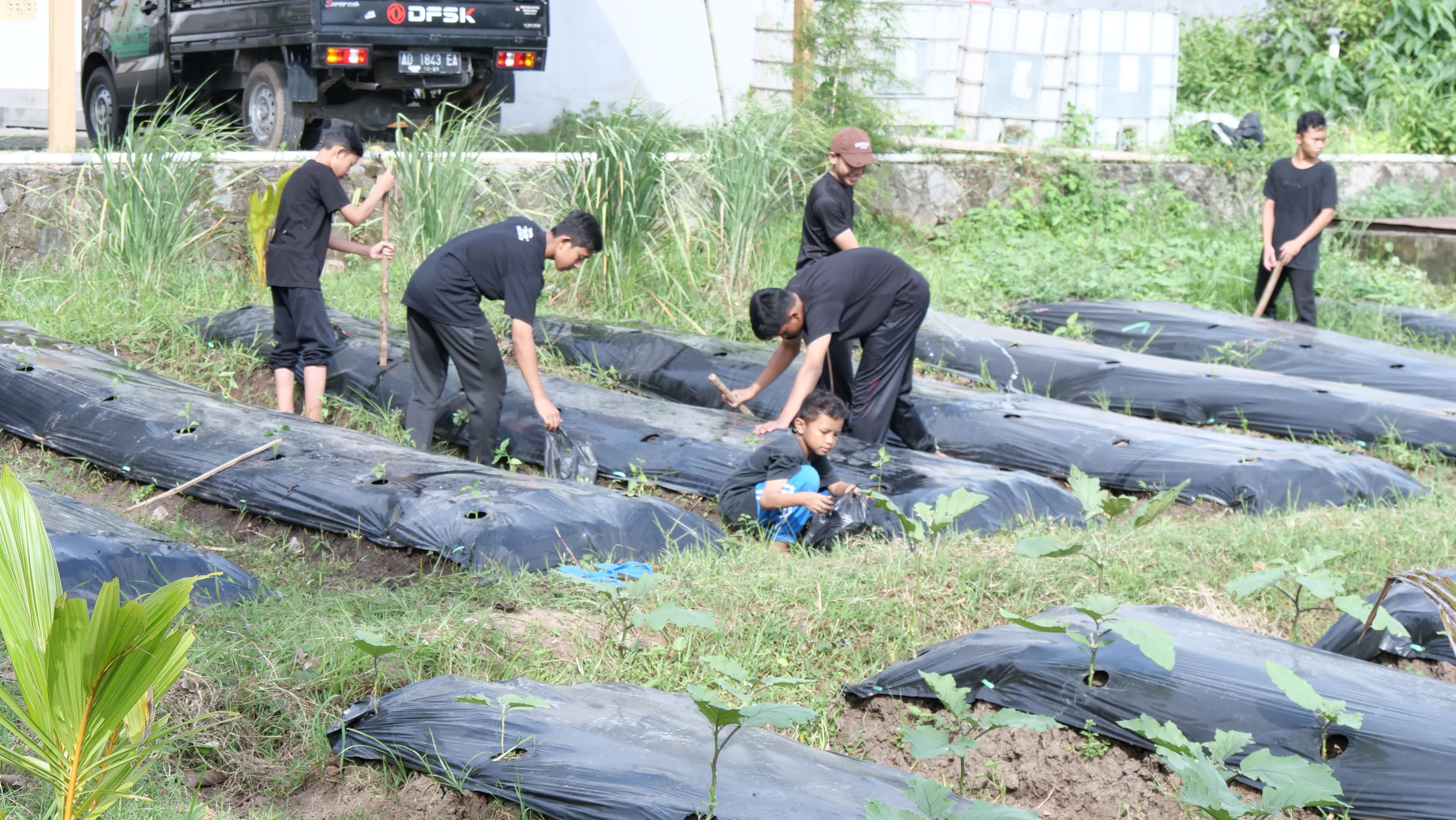 Ekskul berkebun Pesantren Gratis Klaten